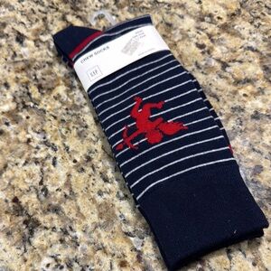 GAP Casual Blue and Red Striped Socks